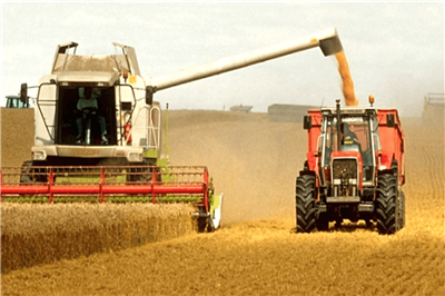 غذا و کشاورزی